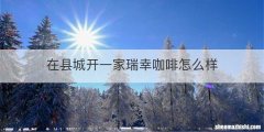 在县城开一家瑞幸咖啡怎么样