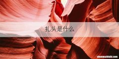 扎头是什么