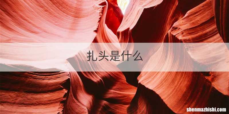 扎头是什么