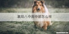 襄阳八中高中部怎么样