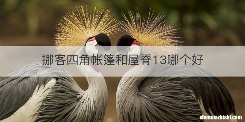 挪客四角帐篷和屋脊13哪个好