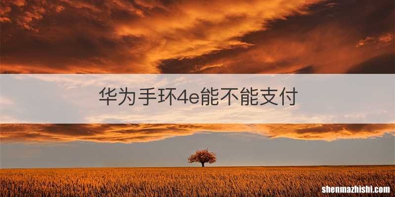 华为手环4e能不能支付