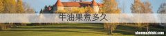 牛油果煮多久