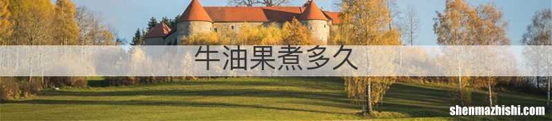 牛油果煮多久