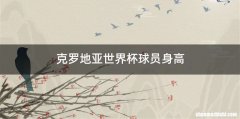 克罗地亚世界杯球员身高