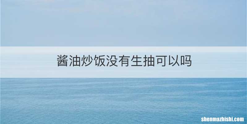酱油炒饭没有生抽可以吗