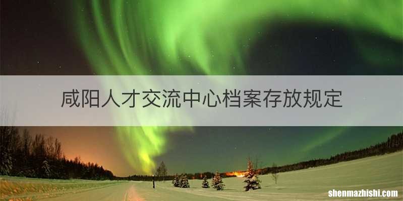 咸阳人才交流中心档案存放规定