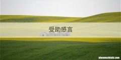 红叶枫树的养殖方法