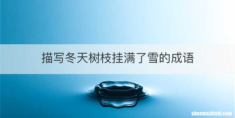 描写冬天树枝挂满了雪的成语