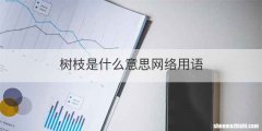 树枝是什么意思网络用语