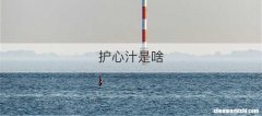 护心汁是啥
