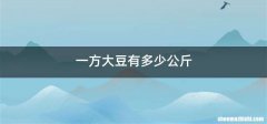 一方大豆有多少公斤