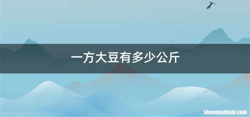 一方大豆有多少公斤