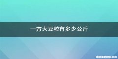 一方大豆粒有多少公斤