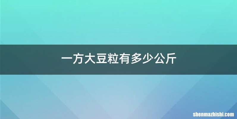 一方大豆粒有多少公斤