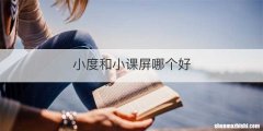 小度和小课屏哪个好
