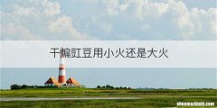 干煸豇豆用小火还是大火