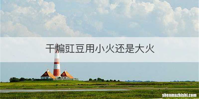 干煸豇豆用小火还是大火