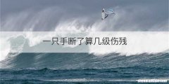 一只手断了算几级伤残