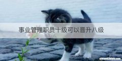 事业管理职员十级可以晋升八级