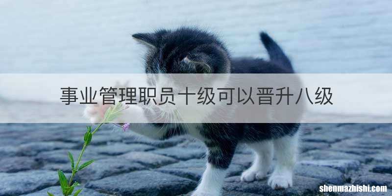事业管理职员十级可以晋升八级