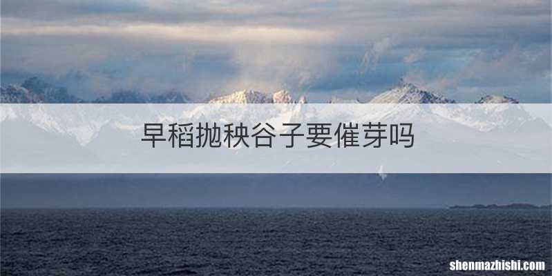 早稻抛秧谷子要催芽吗