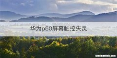 华为p50屏幕触控失灵
