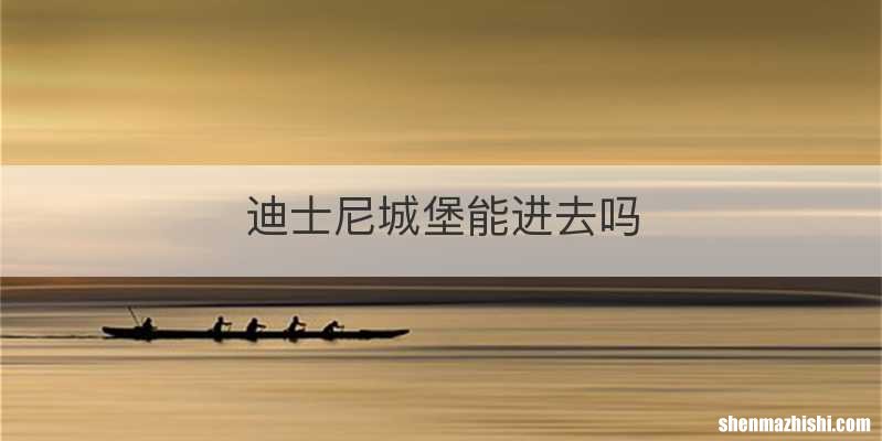 迪士尼城堡能进去吗