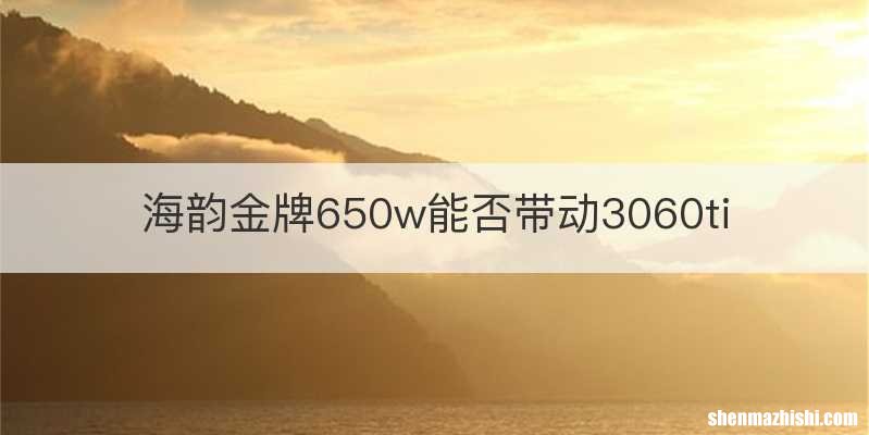 海韵金牌650w能否带动3060ti