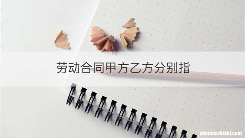劳动合同甲方乙方分别指