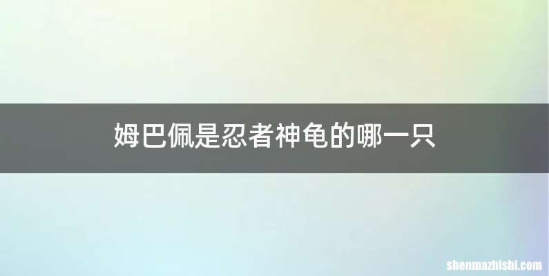 姆巴佩是忍者神龟的哪一只