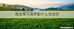 海龙海马海参配什么炖汤好