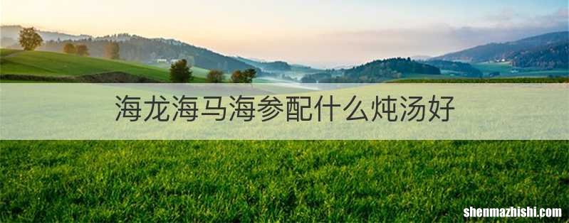 海龙海马海参配什么炖汤好