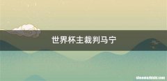 世界杯主裁判马宁