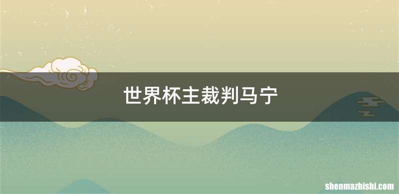 世界杯主裁判马宁