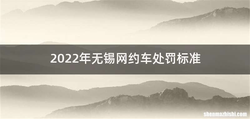 2022年无锡网约车处罚标准