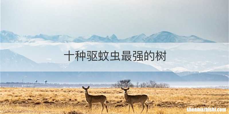 十种驱蚊虫最强的树