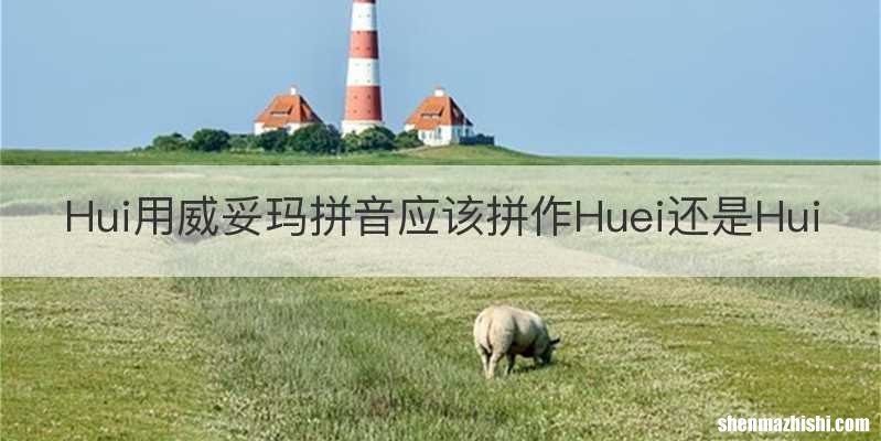 Hui用威妥玛拼音应该拼作Huei还是Hui