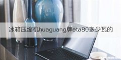 冰箱压缩机huaguang牌eta80多少瓦的