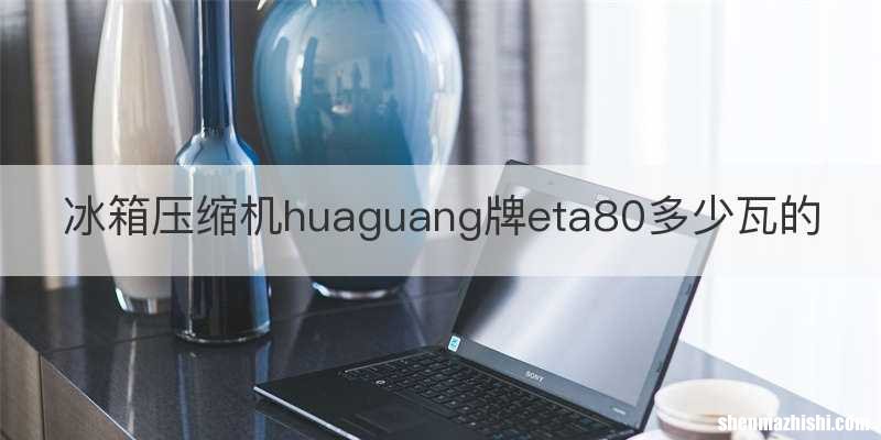 冰箱压缩机huaguang牌eta80多少瓦的