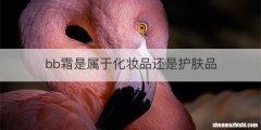 bb霜是属于化妆品还是护肤品