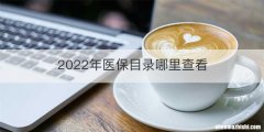 2022年医保目录哪里查看