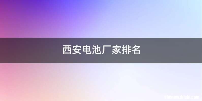 西安电池厂家排名