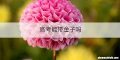 高考能带金子吗