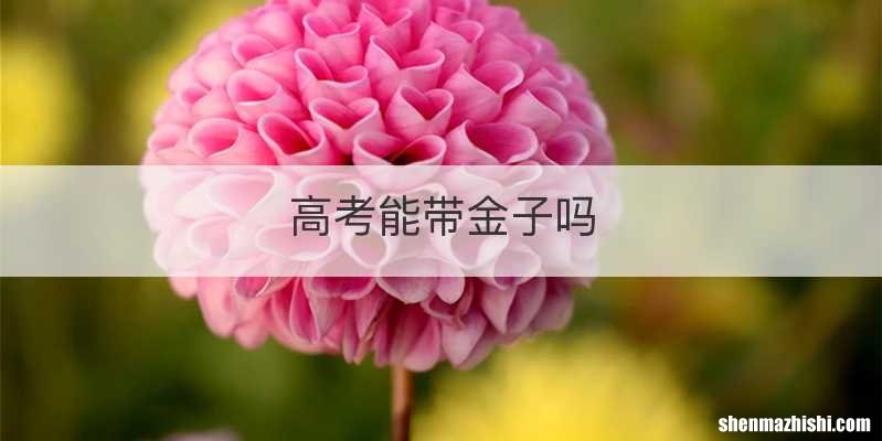 高考能带金子吗