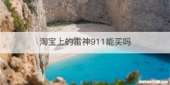 淘宝上的雷神911能买吗