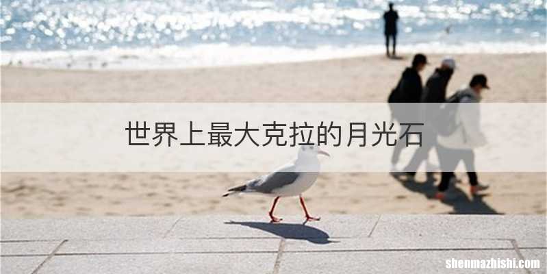 世界上最大克拉的月光石