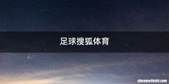 足球搜狐体育