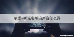 荣耀v40轻奢版没声音怎么弄