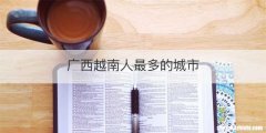 广西越南人最多的城市